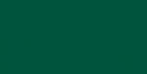 Карнизная планка (капельник) для мягкой кровли Velur 6005 зелёный